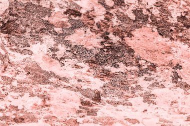 Vintage pink background. Rough painted wall of living coral color. Imperfect plane of beige colored. Uneven old decorative toned backdrop of beige tint.