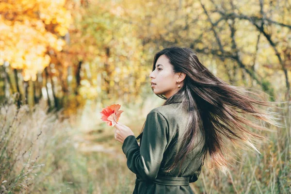 Dreamy Beautiful Girl Long Natural Black Hair Holding Fallen Leaves — 스톡 사진