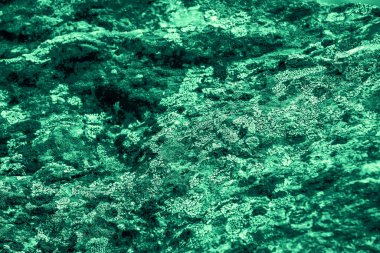 Vintage green background. Rough painted wall of emerald color. Imperfect plane of virid colored. Uneven old decorative toned backdrop of green tint. 