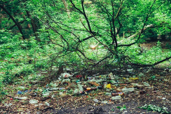 Montón Basura Bosque Entre Las Plantas Plástico Tóxico Naturaleza Todas — Foto de Stock