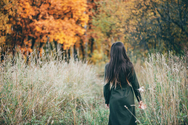 Dreamy beautiful girl with long natural black hair on background with colorful leaves. Fallen leaves in girl hands in autumn forest. Girl surrounded by vivid foliage. Back view. No face.
