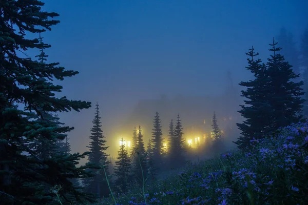 霧と花のライトが付いている家 — ストック写真