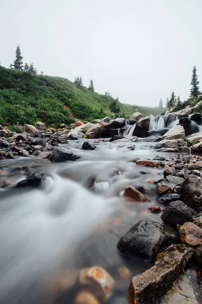 Sisli Myrtle Falls Creek