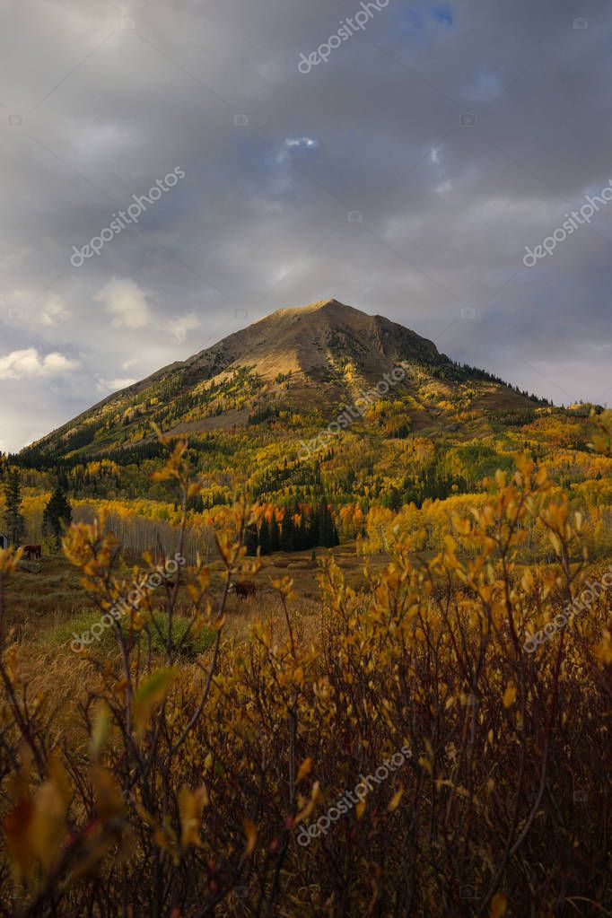 CRESTED BUTTE