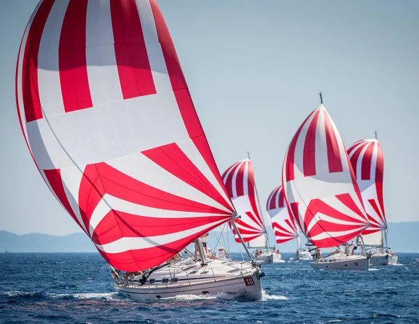 Флот вітрильних човнів зі спінакером під час офшорної гонки — стокове фото