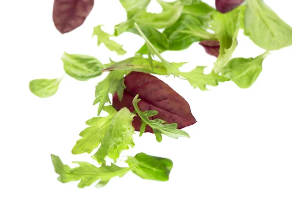 Verse groene bladeren sla salade geïsoleerd op witte achtergrond — Stockfoto