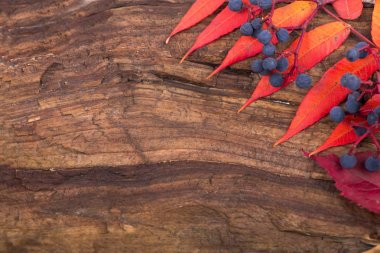 Sonbahar arkaplanı ahşap tahtada, üst görünümde