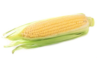 Beyaz arka planda yeşil yapraklı çiğ mısır.