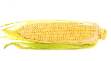 Beyaz arka planda yeşil yapraklı çiğ mısır.