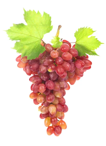 Ripe Red Grape Pink Bunch Leaves Isolated White Clipping Path — Stock Photo, Image