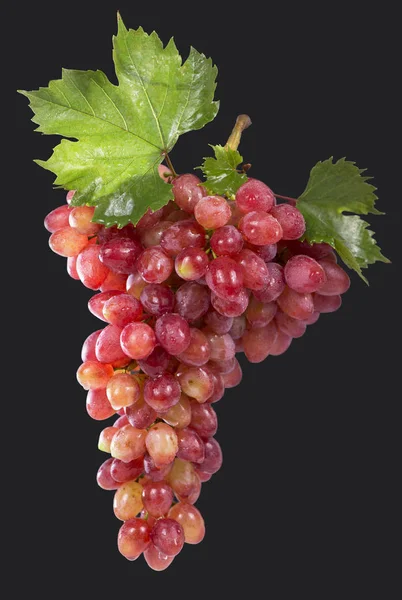 Ripe Red Grape Pink Bunch Leaves Isolated Dark Clipping Path — Stock Photo, Image
