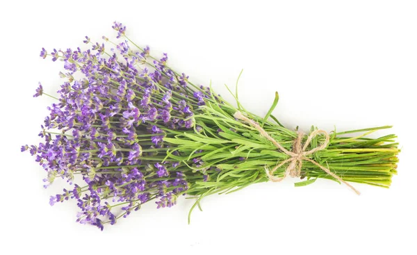 Flores de lavanda em um fundo branco. — Fotografia de Stock