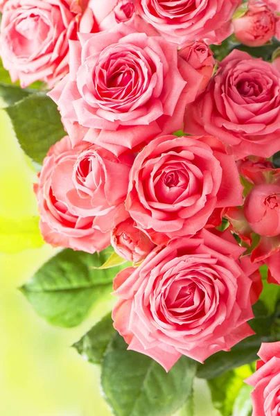 Rózsaszín rózsa virág csokor háttér — Stock Fotó