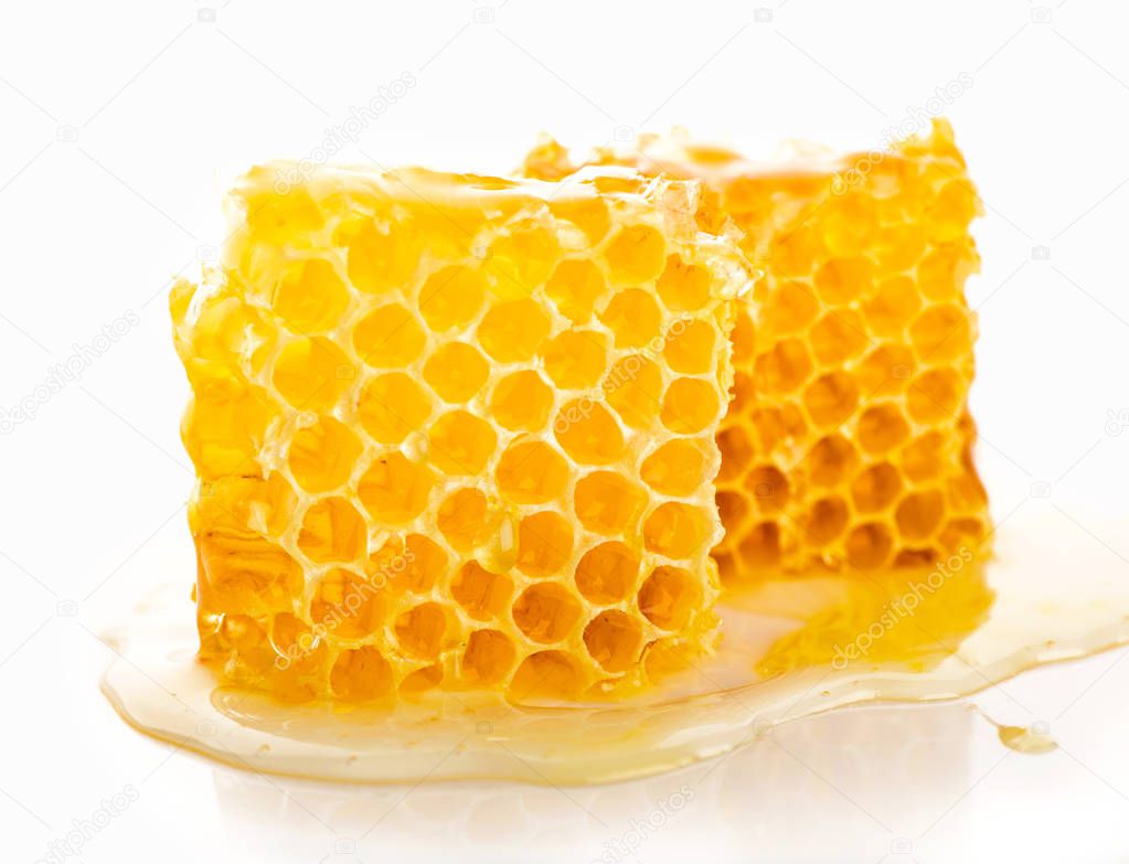 Honeycomb piece. Honey slice isolated on white background.