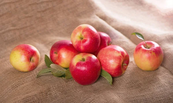 Jabłka Leżą Tkaninie Jesienne Zbiory Owoców Teksturalnym Beżowym Tle Pyszne — Zdjęcie stockowe
