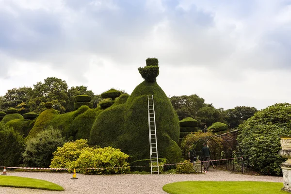 Topiary clipping in a park.
