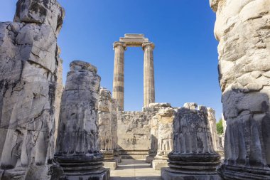 Didym, Türkiye'de Apollon Tapınağı tarihi sitesi.