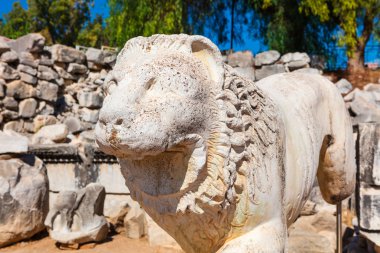 Aslan-Didim, Türkiye'de Apollo Tapınağı kalıntıları arkeolojik heykel.