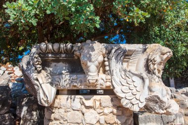 Didim Apollo Tapınağı, Türkiye'de bir boğa başkanı ile mimari detay.