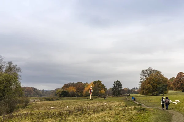 Wakefield Yorkshire Listopada 2019 Jesienne Widoki Park Rzeźb Yorkshire Dziełami — Zdjęcie stockowe