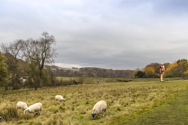 Уокефилд Великобритания Ноября 2019 Года Живописные Осенние Виды Йоркширского Парка — стоковое фото