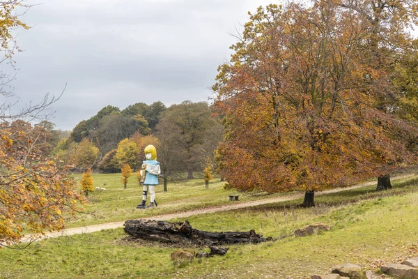 Wakefield Yorkshire Listopada 2019 Jesienne Widoki Park Rzeźb Yorkshire Dziełami — Zdjęcie stockowe