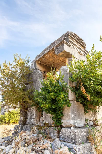 Ταφική Σαρκοφάγος Ιδιαίτερα Διακοσμημένη Οροφή Μέσα Στα Αρχαία Ερείπια Της — Φωτογραφία Αρχείου