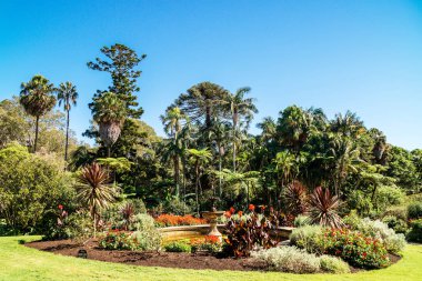 Vaucluse Evi 'nin orijinal peyzaj bahçeleri. Vaucluse' un Sydney banliyösündeki 19. yüzyıl malikanesi..