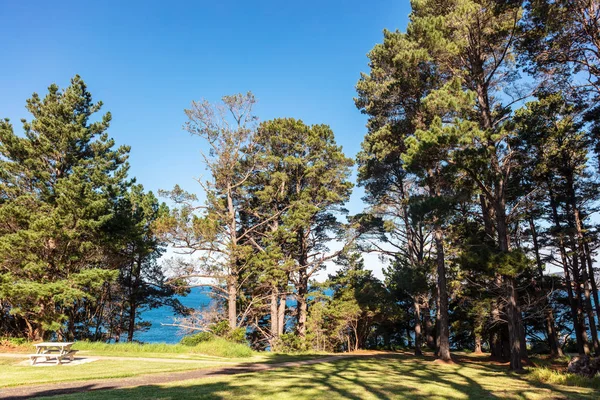 Eden Manzaralı Kıyı Manzarası Avustralya Nsw — Stok fotoğraf