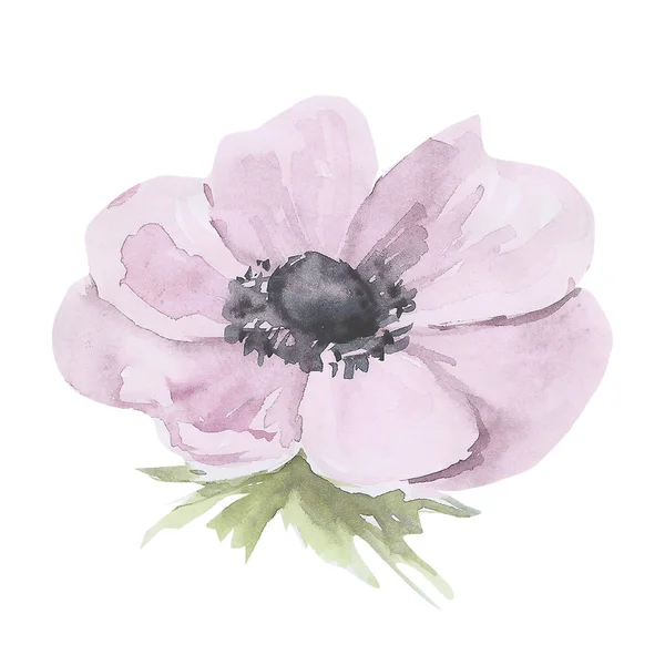 Flor elegante definido em estilo aquarela vintage. Pode ser usado para cartão de aniversário, convite, cartão de casamento, cartaz, cartão de dia das mães . — Fotografia de Stock