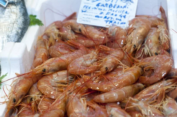 Camarão no mercado de peixe — Fotografia de Stock