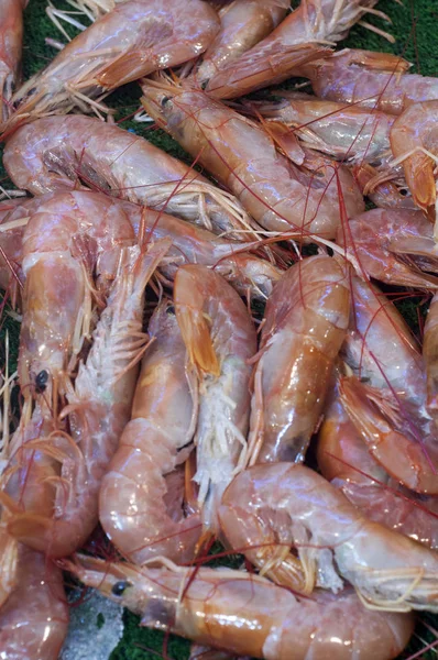 Camarão no mercado de peixe — Fotografia de Stock