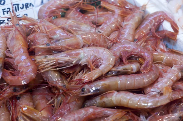 Camarão no mercado de peixe — Fotografia de Stock