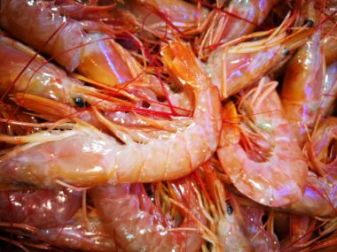 Balık pazarında karides