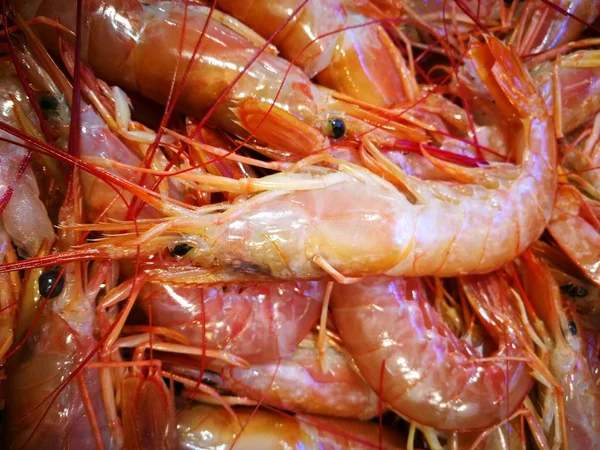 Camarão no mercado de peixe — Fotografia de Stock