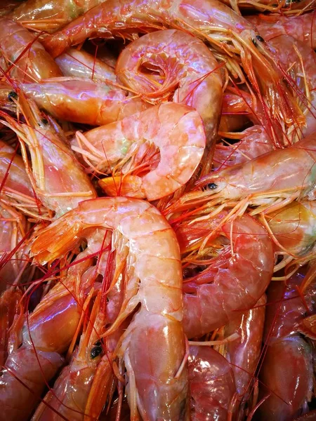 Shrimp in fish market — Stock Photo, Image