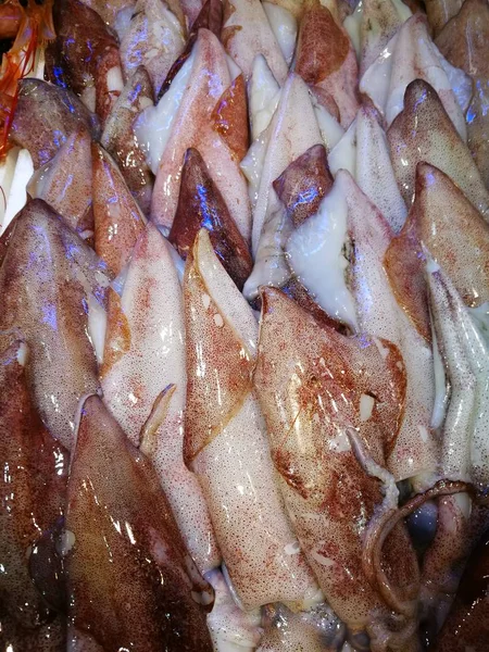 魚市場で新鮮なイカ — ストック写真