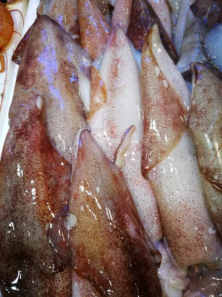 मासे बाजारात ताजे स्क्विड — स्टॉक फोटो, इमेज