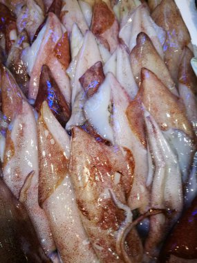 Balık pazarı taze kalamar