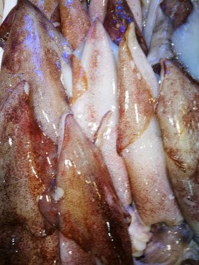 Balık pazarı taze kalamar