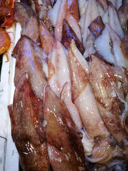 Lulas frescas no mercado do peixe — Fotografia de Stock