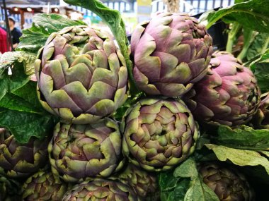 Taze Romaneschi enginar