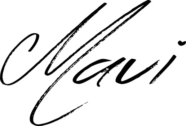 Иллюстрация текста на мауи — стоковый вектор