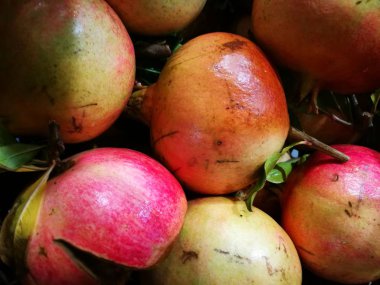 Nar görüntüsündeki Çiftçi Market