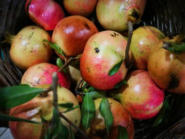 Nar görüntüsündeki Çiftçi Market