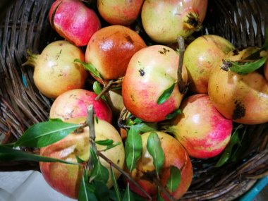 Nar görüntüsündeki Çiftçi Market