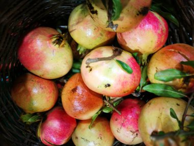 Nar görüntüsündeki Çiftçi Market