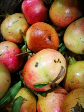 Nar görüntüsündeki Çiftçi Market