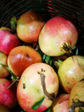 Nar görüntüsündeki Çiftçi Market