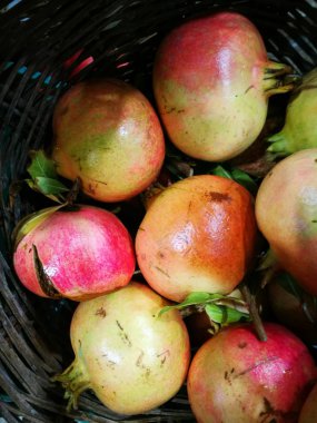 Nar görüntüsündeki Çiftçi Market